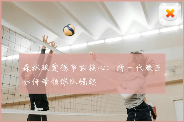 森林狼爱德华兹核心：新一代狼王如何带领球队崛起