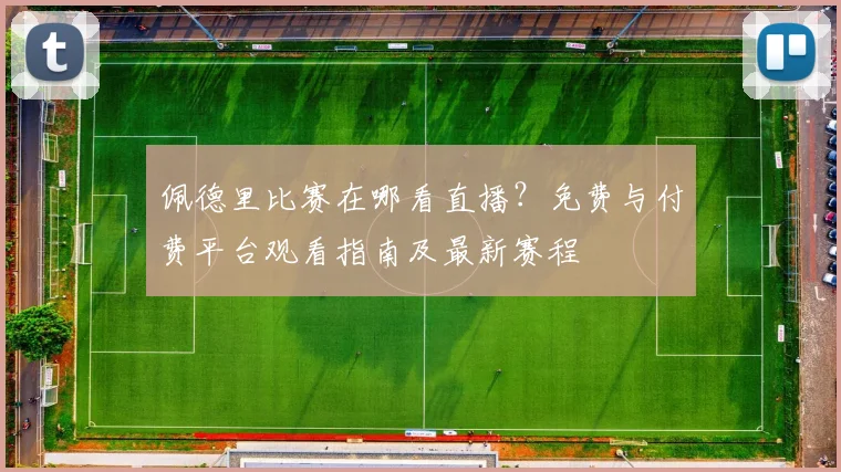 佩德里比赛在哪看直播？免费与付费平台观看指南及最新赛程
