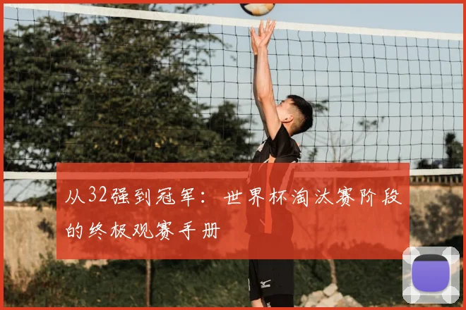 从32强到冠军：世界杯淘汰赛阶段的终极观赛手册