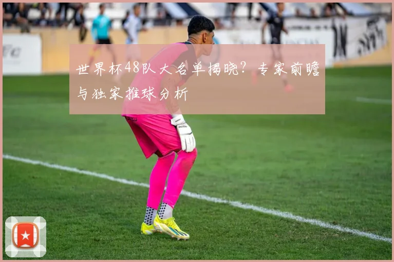 世界杯48队大名单揭晓？专家前瞻与独家推球分析