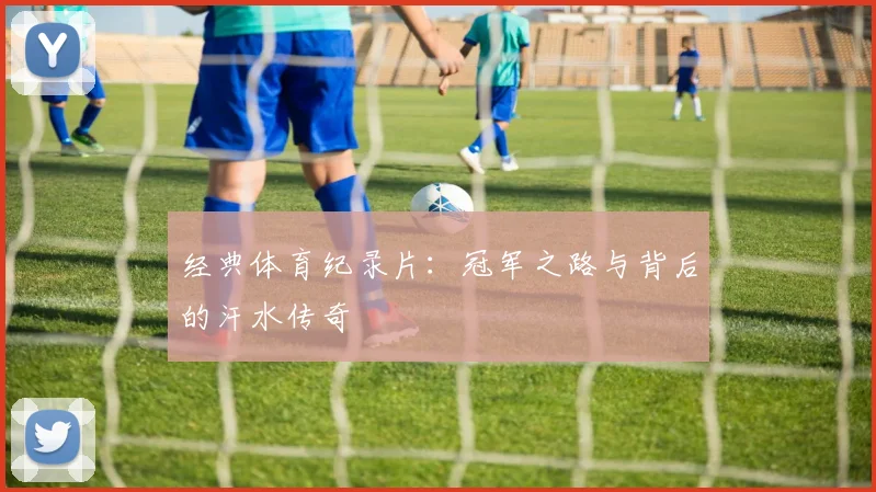 经典体育纪录片：冠军之路与背后的汗水传奇